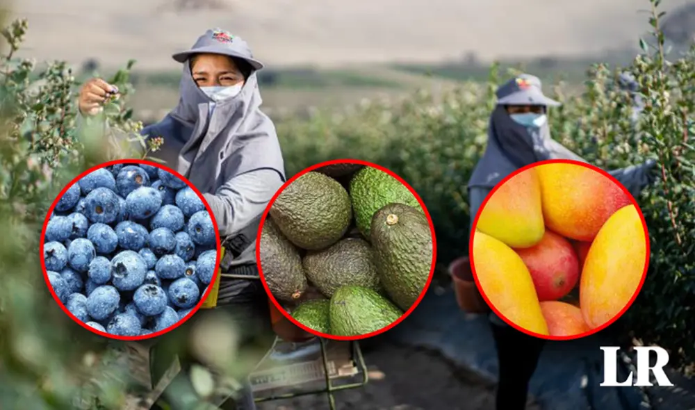 Agroexportación se ve perjudicada con el cambio climático. Foto: composición LR Agroexportación se ve perjudicada con el cambio climático. Foto: composición LR