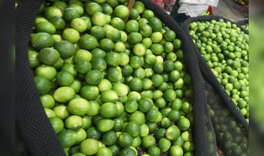 El precio mayorista del limón ya registra varios días consecutivos a la baja. Foto: Andina