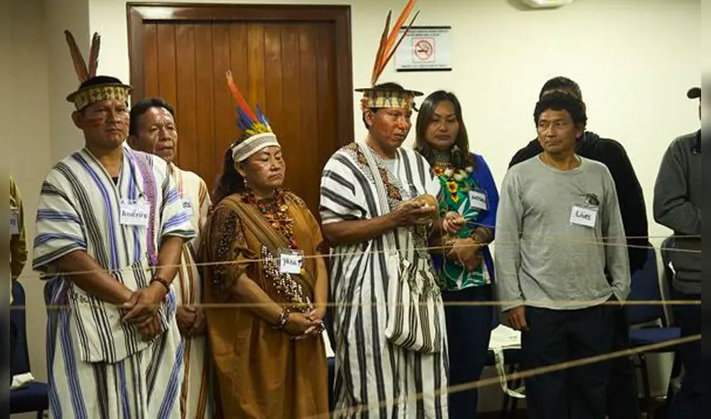 Líderes ambientales son amenazados por el narcotráfico, tala ilegal y minería ilegal. Foto: difusión