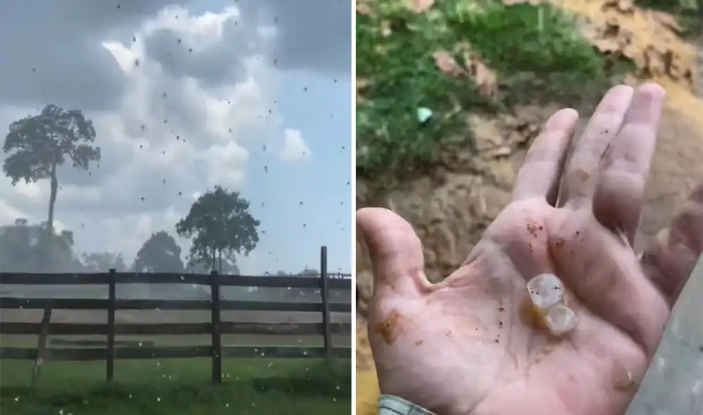 Granizada tomó por sorpresa a los habitantes de Puerto Maldonado, en la región Madre de Dios. Foto: composición LR/Captura TikTok