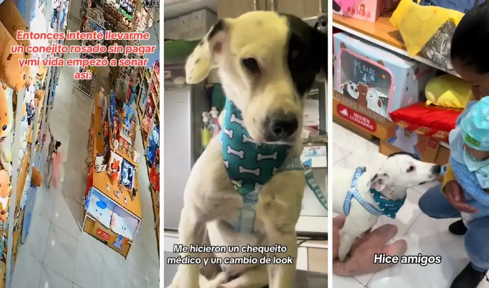 El video viral superó más de 15 millones de reproducciones. Foto: composición LR/TikTok//@miniso_potosí El video viral superó más de 15 millones de reproducciones. Foto: composición LR/TikTok//@miniso_potosí