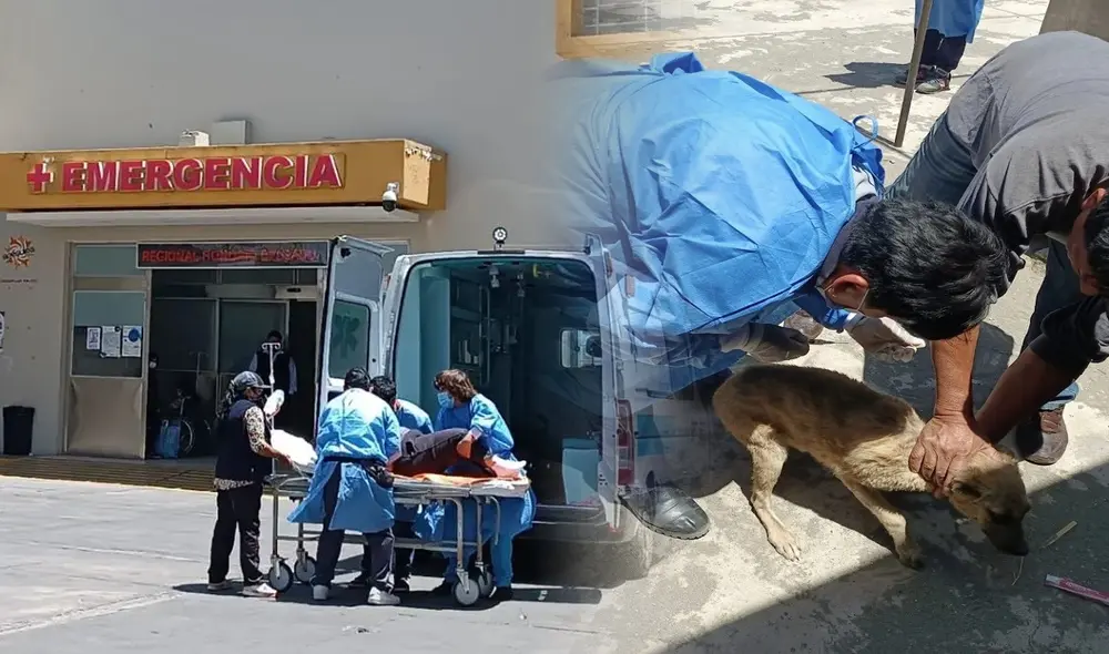 La rabia humana es mortal y una vez que el virus se aloja en el cerebro no hay vacuna ni tratamiento que lo detenga, sostienen los especialistas. Foto: composición LR/Minsa