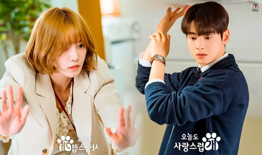 'A Good Day to be a Dog' llega con mucho misterio tras estar relacionado con vidas pasadas. Foto: composición LR/MBC Drama