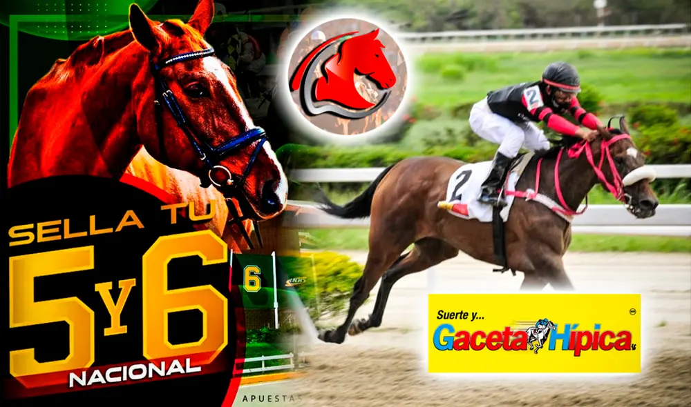 Revisa AQUÍ los favoritos para el 5y6 de este domingo 22 de octubre en La Rinconada, según Fusión Hípica y Gaceta Hípica. Foto: composición LR / INH Revisa AQUÍ los favoritos para el 5y6 de este domingo 22 de octubre en La Rinconada, según Fusión Hípica y Gaceta Hípica. Foto: composición LR / INH