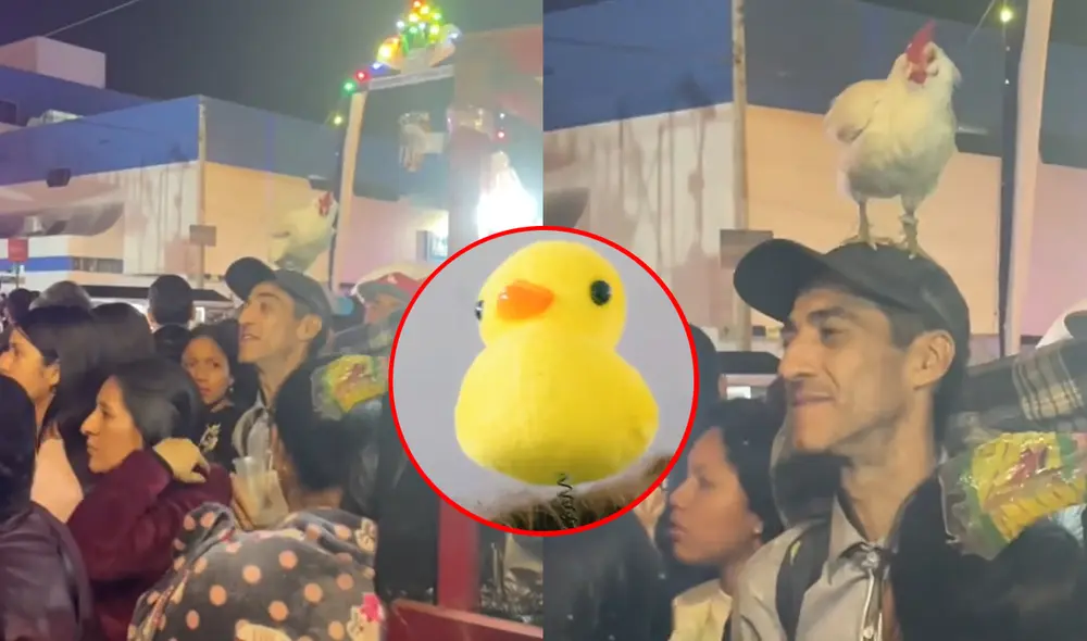 Moda viral por patitos amarillos en la cabeza. Foto: composición LR/Alexandra Castillo/TikTok Moda viral por patitos amarillos en la cabeza. Foto: composición LR/Alexandra Castillo/TikTok