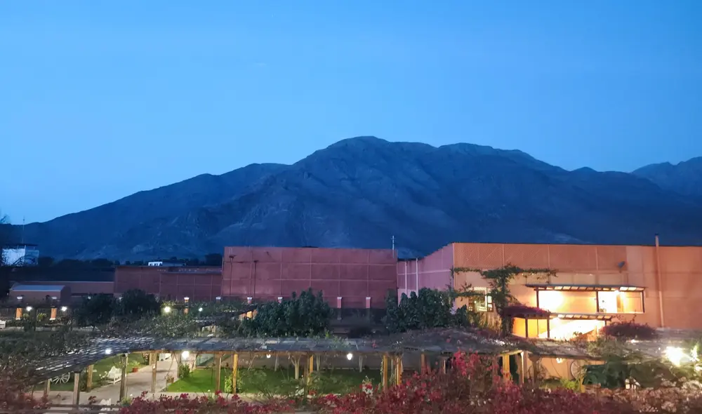 La Bodega Queirolo cubierta de frondosa buganvillia en San José de los Molinos, Ica. Foto: Marco Zileri Dougall - La República La Bodega Queirolo cubierta de frondosa buganvillia en San José de los Molinos, Ica. Foto: Marco Zileri Dougall - La República