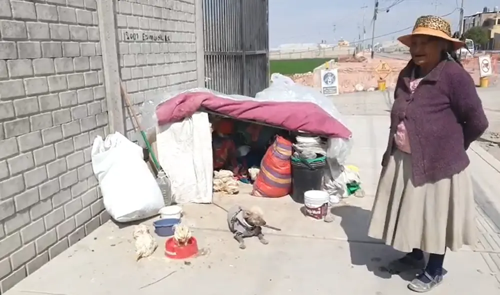 Anciana pide apoyo para regresar a Juliaca. Foto: HBA Noticias/video: HBA Notticias Anciana pide apoyo para regresar a Juliaca. Foto: HBA Noticias/video: HBA Notticias