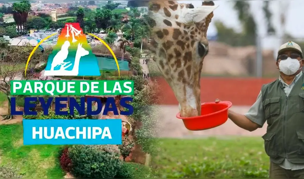 Conoce cuándo se inaugurará el nuevo Parque de las Leyendas, sede Huachipa, y cuánto costarán las entradas. Foto: composición LR/ YouTube/ El Popular Conoce cuándo se inaugurará el nuevo Parque de las Leyendas, sede Huachipa, y cuánto costarán las entradas. Foto: composición LR/ YouTube/ El Popular