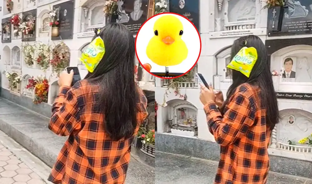 El video publicado en TikTok superó las 200.000 reproducciones. Foto: composición LR/TikTok/@billymed17