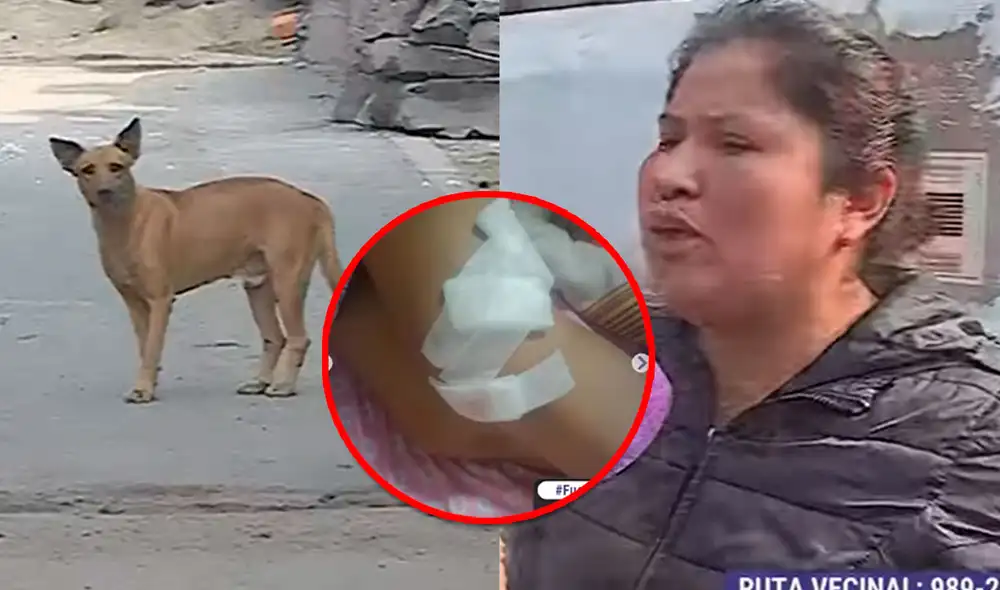 Los vecinos afirmaron que la policía de San Juan de Lurigancho ignora la denuncia contra los dueños del perro. Foto: composición LR/Latina Televisión