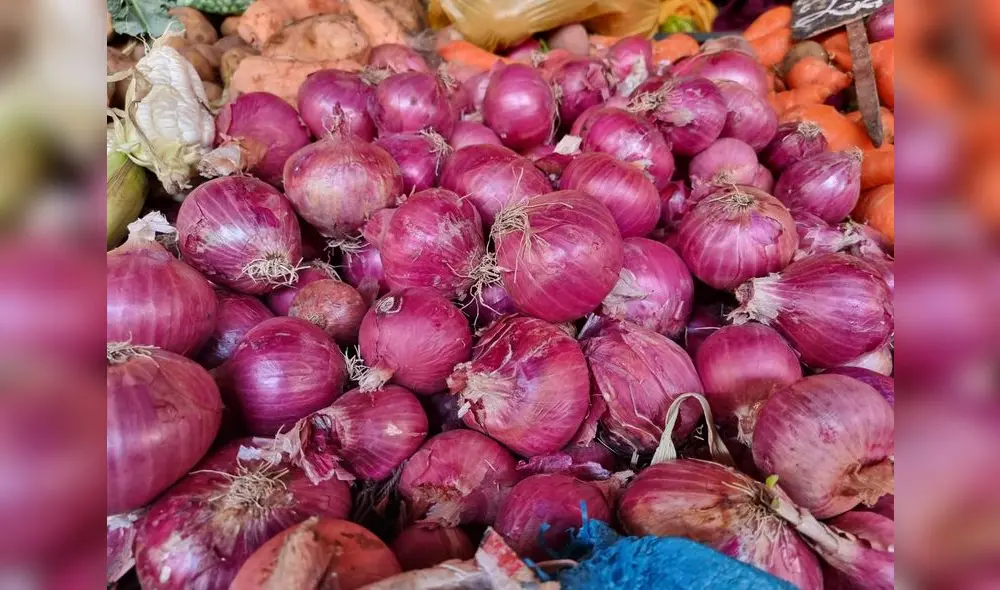 El precio de la cebolla ha tenido una drástica disminución. Foto: URPI LR