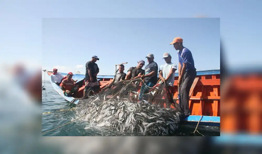 Sanipes es uno de los organismos adscritos a Produce para el cuidado de la hidrobiología. Foto: La República Sanipes es uno de los organismos adscritos a Produce para el cuidado de la hidrobiología. Foto: La República
