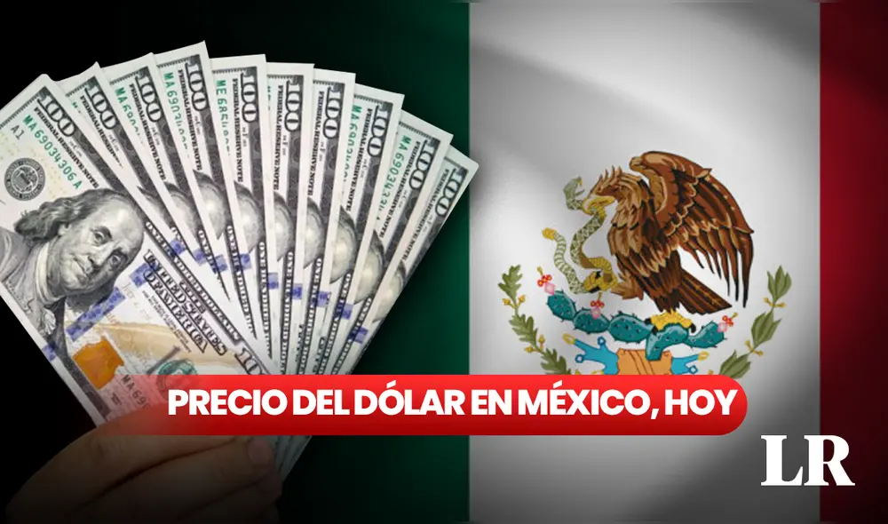 Precio del dólar en México para hoy, jueves 26 de octubre. Foto: composición LR/AFP/Freepik Precio del dólar en México para hoy, jueves 26 de octubre. Foto: composición LR/AFP/Freepik