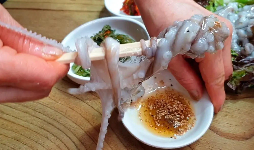 El plato san-nakji ya ha provocado casos de asfixia de comensales en años anteriores, de acuerdo con medios locales. Foto: Tastes Seoul Good El plato san-nakji ya ha provocado casos de asfixia de comensales en años anteriores, de acuerdo con medios locales. Foto: Tastes Seoul Good