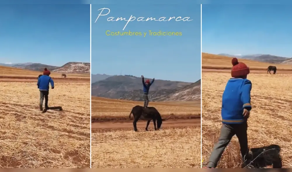 Menor muestra cómo disfruta del campo donde vive. Foto: composición LR/@kjantu_peru - Video: @kjantu_peru