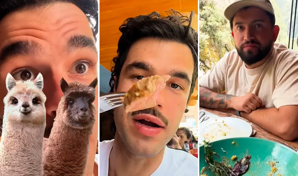 El video causó sensación en las redes sociales y hasta el momento tiene más de 80.000 reproducciones. Foto: composición LR/TikTok/@peldanys El video causó sensación en las redes sociales y hasta el momento tiene más de 80.000 reproducciones. Foto: composición LR/TikTok/@peldanys