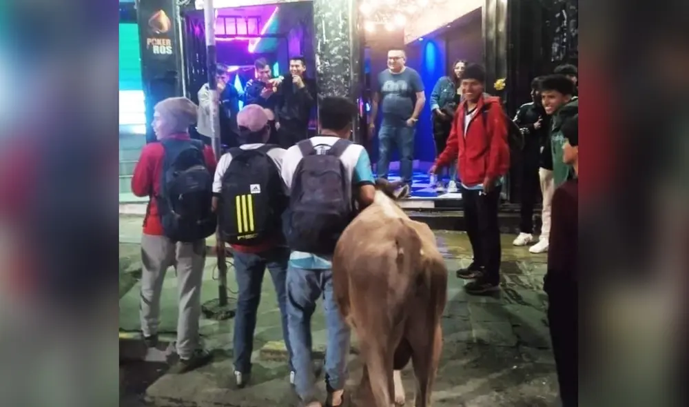 Singular caso se registró en zona concurrida de Ayacucho. Foto: composición LR/difusión Singular caso se registró en zona concurrida de Ayacucho. Foto: composición LR/difusión