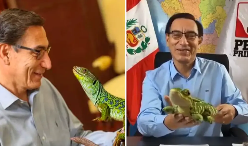 La nueva faceta de Martín Vizcarra es ser creador de contenido para TikTok. Foto: composición LR/TikTok/@MVizcarra.peru/Expreso La nueva faceta de Martín Vizcarra es ser creador de contenido para TikTok. Foto: composición LR/TikTok/@MVizcarra.peru/Expreso