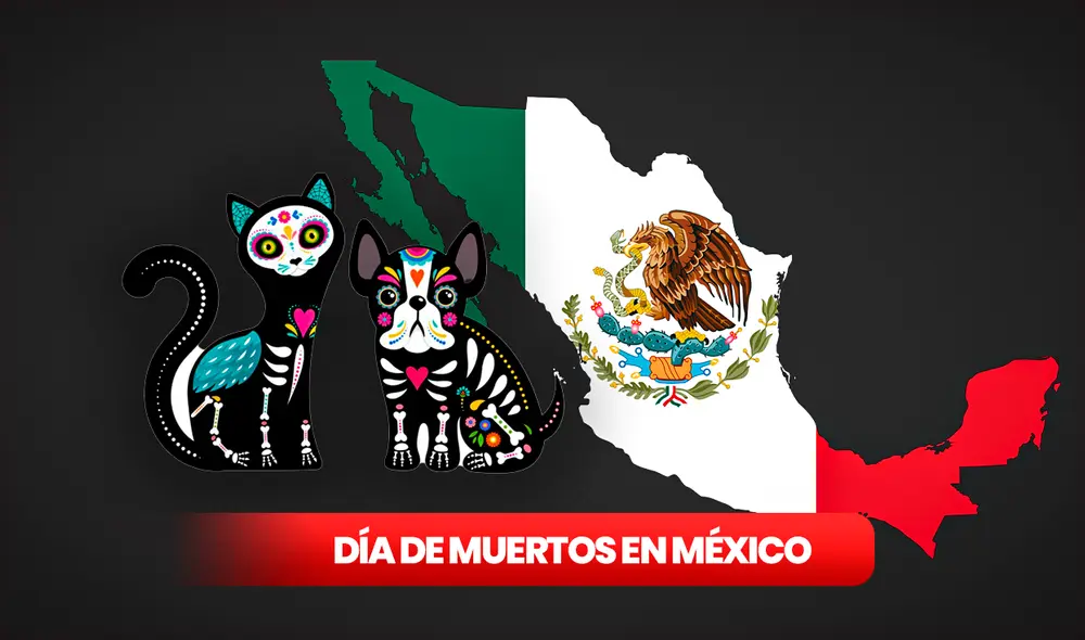 Las mascotas son recordadas previo al Día de Muertos. Foto: composición LR/Pixabay