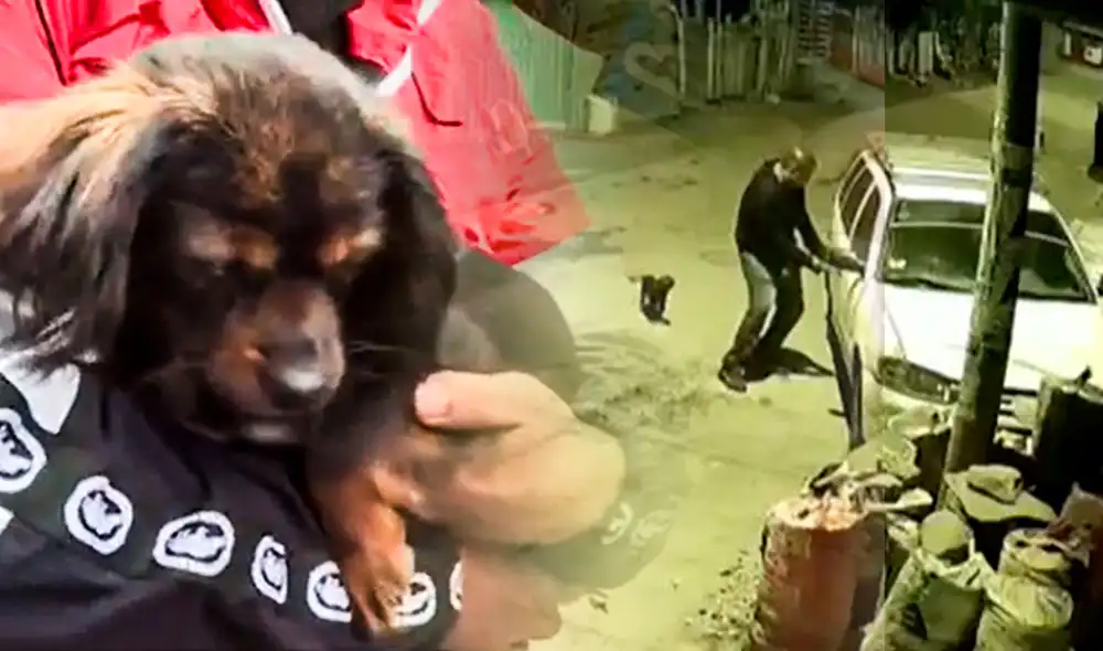 El dueño de Tamalito exige más presencia policial en su localidad. Foto: composición LR/Canal N El dueño de Tamalito exige más presencia policial en su localidad. Foto: composición LR/Canal N