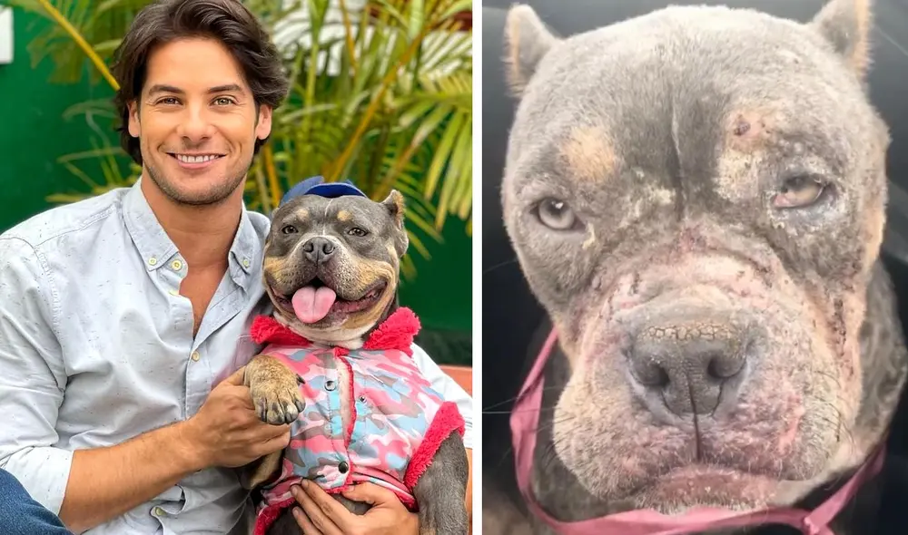 Andrés Wiese celebra cada año la adopción de su perrita Menta. Foto: composición LR/Instagram/Andrés Wiese Andrés Wiese celebra cada año la adopción de su perrita Menta. Foto: composición LR/Instagram/Andrés Wiese