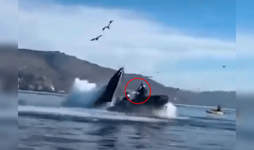Las deportistas permanecieron en el interior del cetáceo durante algunos segundos hasta que fueron escupidas. Foto y video: El País Las deportistas permanecieron en el interior del cetáceo durante algunos segundos hasta que fueron escupidas. Foto y video: El País