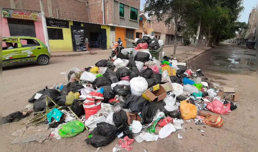 Todavía no se tiene indicios de quién podría haber abandonado el feto. Foto: difusión