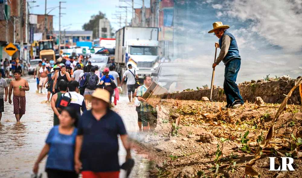El fenómeno El Niño provoca lluvias intensas y sequía por el déficit hídrico, lo cual afectaría a miles de familias peruanas. Foto: composición LR/Gerson Cardoso