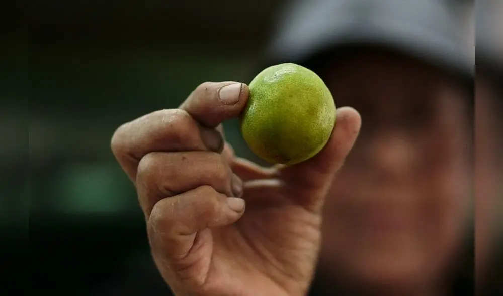 En octubre, la inflación consolidó 28 meses por encima del rango meta, según datos de INEI. Foto: La República En octubre, la inflación consolidó 28 meses por encima del rango meta, según datos de INEI. Foto: La República