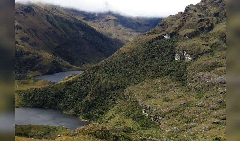 Los bosques montanos cumplen una valiosa labor contra el calentamiento global. Foto: Naturaleza y Cultura Internacional Los bosques montanos cumplen una valiosa labor contra el calentamiento global. Foto: Naturaleza y Cultura Internacional
