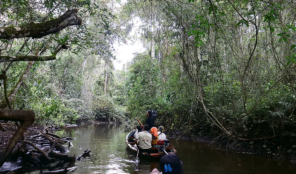 Experiencia. Santa Elena es una zona de recuperación del humedal de Alto Mayo y un emprendimiento de turismo comunitario. Los visitantes pueden realizar también expediciones nocturnas. Foto: Sandra Ferrándiz/La República Experiencia. Santa Elena es una zona de recuperación del humedal de Alto Mayo y un emprendimiento de turismo comunitario. Los visitantes pueden realizar también expediciones nocturnas. Foto: Sandra Ferrándiz/La República