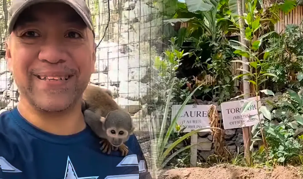 La selva escondida es administrada por la Hacienda Turística de San Juan de Lurigancho. Foto: composición LR/captura de YouTube/El mundo de Germán
