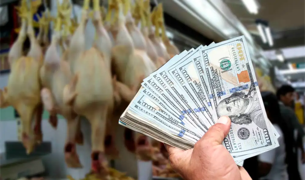 Conozca el tipo de cambio del dólar en la apertura de este martes 7 de noviembre de 2023. Foto: La República Conozca el tipo de cambio del dólar en la apertura de este martes 7 de noviembre de 2023. Foto: La República