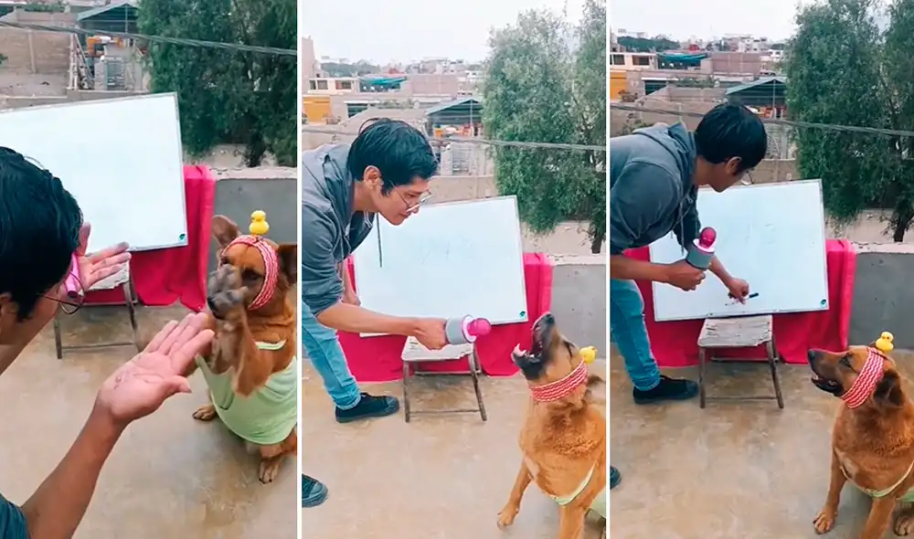 El video compartido en TikTok tiene más de 100.000 reproducciones. Foto: composición LR/TikTok/@florcanopadilla