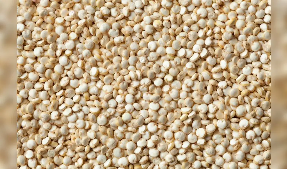 Quinua peruana. En octubre del 2013, entraron en vigor los reglamentos 369/2013/ UE y 832/2013/ UE, que prohíben el uso de fosfonatos como fortificantes en cultivos orgánicos. Foto: difusión