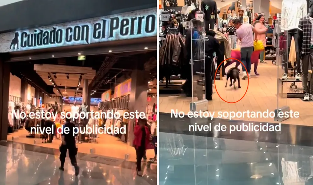 Las imágenes sorprendieron a los usuarios en redes sociales. Foto: composición LR/TikTok/@gompanchiro.arenas Las imágenes sorprendieron a los usuarios en redes sociales. Foto: composición LR/TikTok/@gompanchiro.arenas