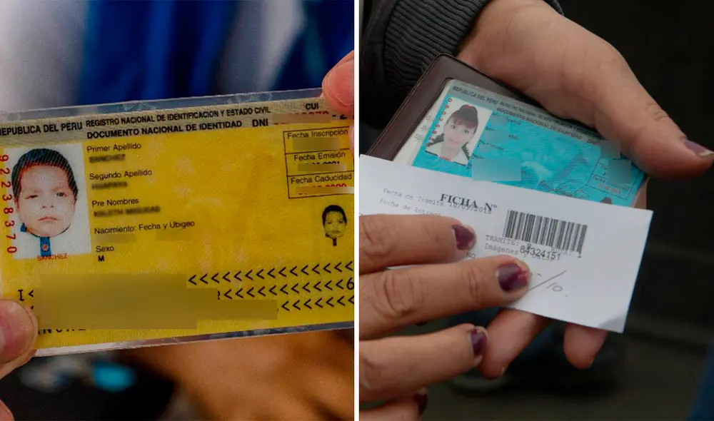 Los menores de 17 años tienen otro color de DNI para distinguirlos. Foto: composiciónLR/Andina