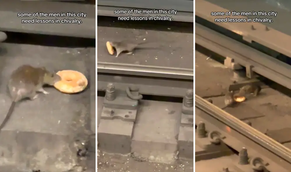 Las imágenes conmovieron a muchos en redes sociales. Foto: composición LR/TikTok/@pequeñocarrorojo Las imágenes conmovieron a muchos en redes sociales. Foto: composición LR/TikTok/@pequeñocarrorojo