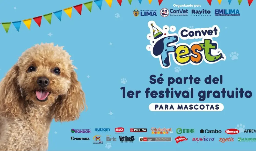 Foto: Fundación Rayito Foto: Fundación Rayito