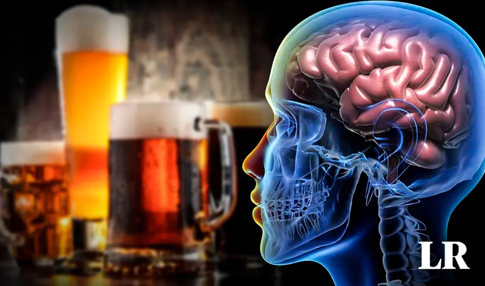 El alcohol tiene efectos en áreas del cerebro que controlan la memoria y el juicio. Foto: composición LR