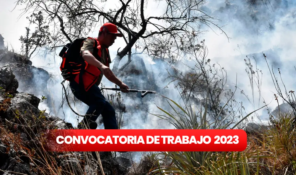 El Sernanp se encarga de la conservación de las Áreas Naturales Protegidas, su diversidad biológica y el mantenimiento de sus servicios ambientales. Foto: ComposiciónLR/Andina El Sernanp se encarga de la conservación de las Áreas Naturales Protegidas, su diversidad biológica y el mantenimiento de sus servicios ambientales. Foto: ComposiciónLR/Andina