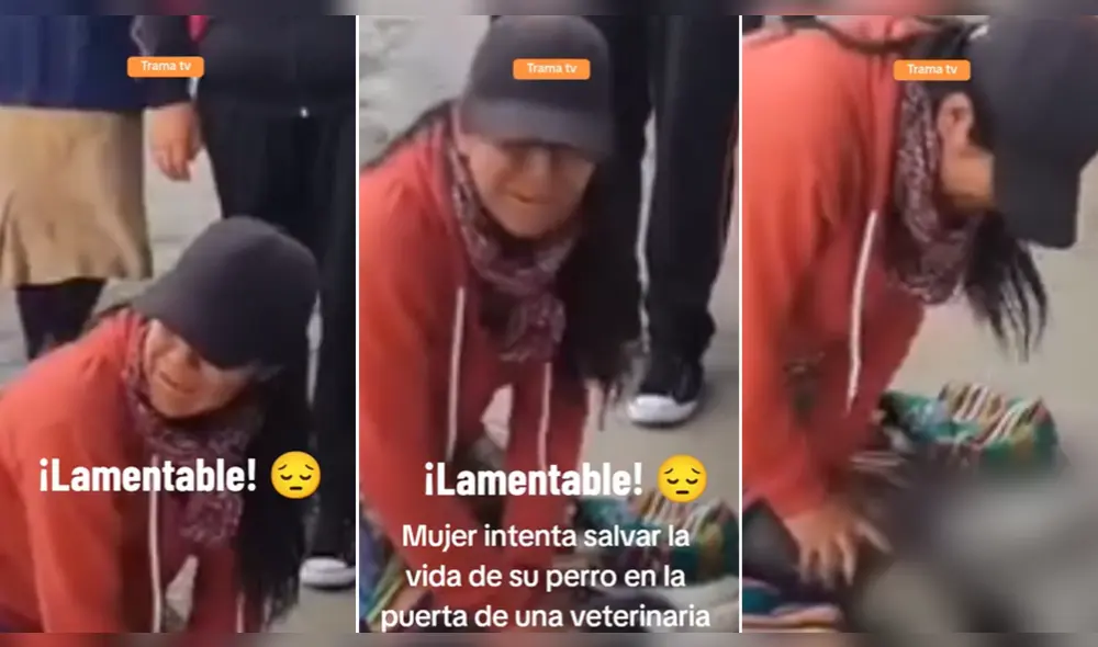Un distrito del Cusco fue escenario de esta terrible escena. Foto: composición LR/@trama_tv - Video: @trama_tv