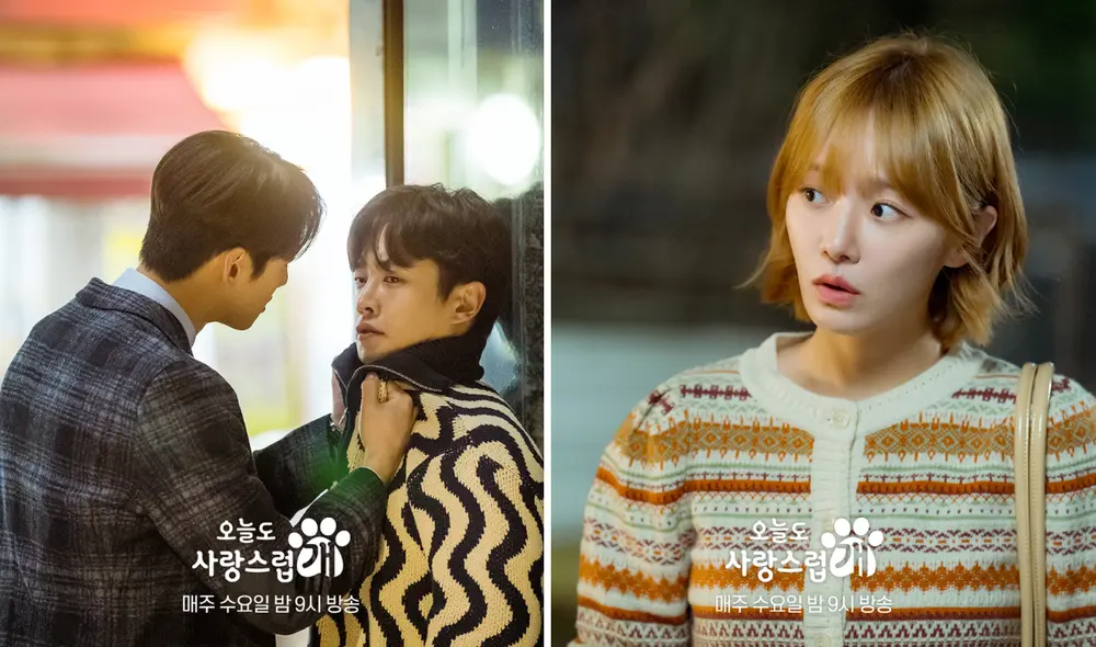 La serie 'A Good Day to be a Dog' se desarrolla en 14 capítulos. Foto: composición LR/ MBC