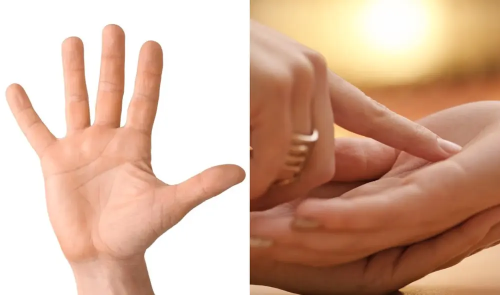 La lectura de manos es una práctica que se realiza desde hace 5.000 años. Foto: composición LR/Shutterstock/Deposit Photos