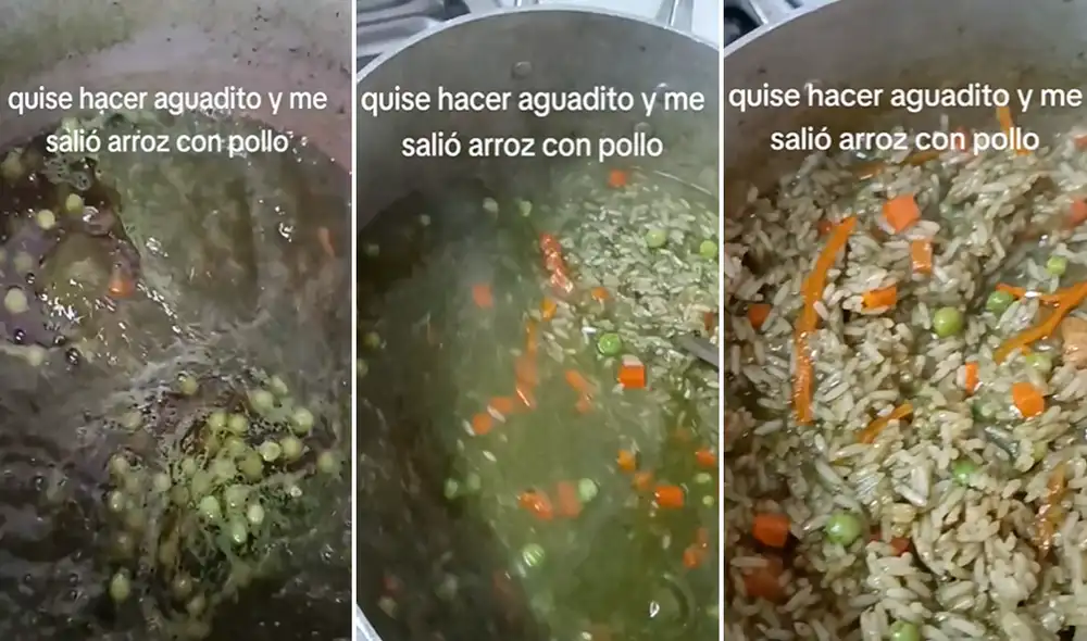 El video es una sensación en las redes sociales; por ello, hasta el momento tiene más de 2 millones de vistas. Fotos: composición LR/TikTok/@reommelito44