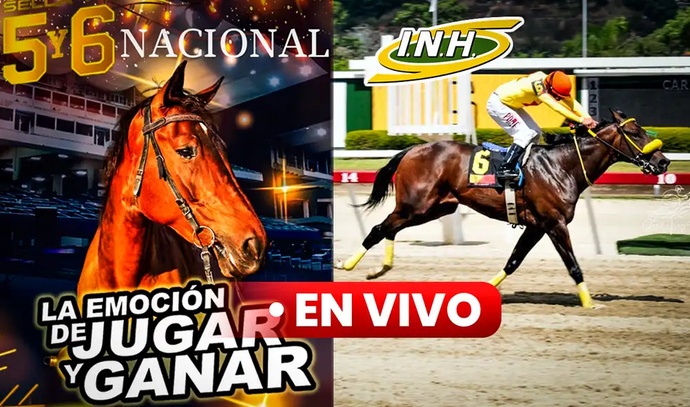 Anota los resultados de todas las carreras válidas y no válidas para el 5y6 del Hipódromo La Rinconada de este domingo 26 de noviembre. Foto: composición LR/INH