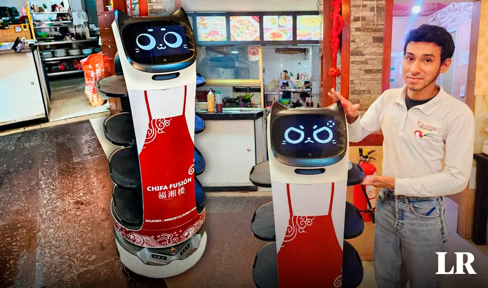 Gatito mesero Fusión es el engreído de chicos y grandes en el restaurante de Los Olivos. Foto: composición Álvaro Lozano / La República