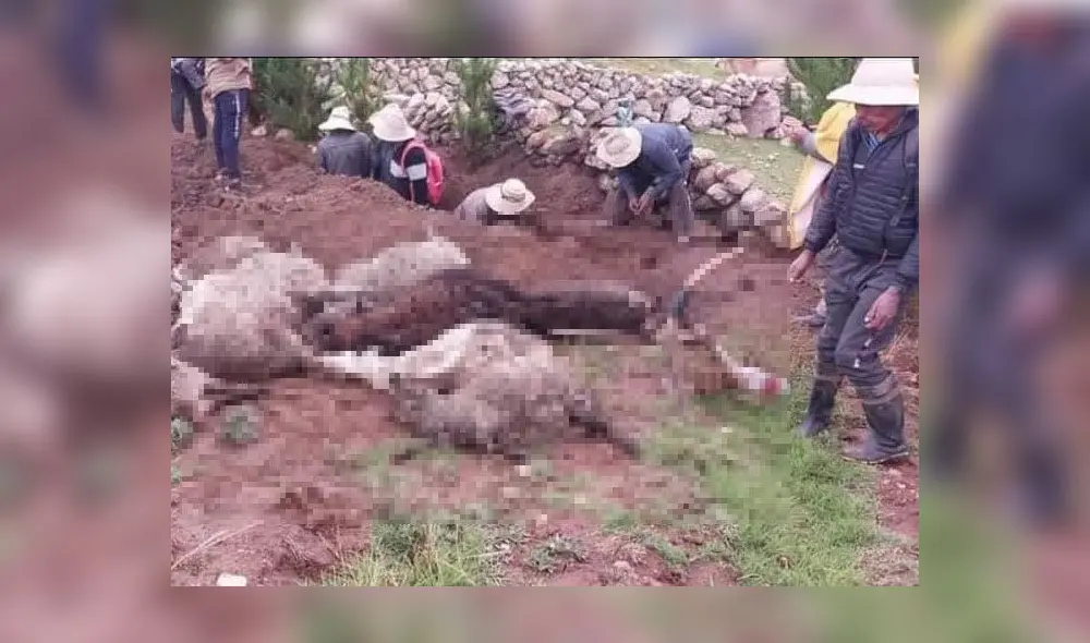Vecinos solicitaron a las autoridades la instalación de pararrayos. Foto: Noticias Cusco - Video: Diario Roma