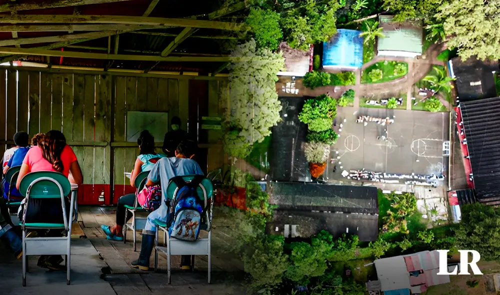 Ganaron el premio de mejor escuela del mundo en acción ambiental, superando a entidades de países como Emiratos Árabes Unidos y Filipinas. Foto: composición de Jazmin Ceras/LR/El colombiano. Ganaron el premio de mejor escuela del mundo en acción ambiental, superando a entidades de países como Emiratos Árabes Unidos y Filipinas. Foto: composición de Jazmin Ceras/LR/El colombiano.