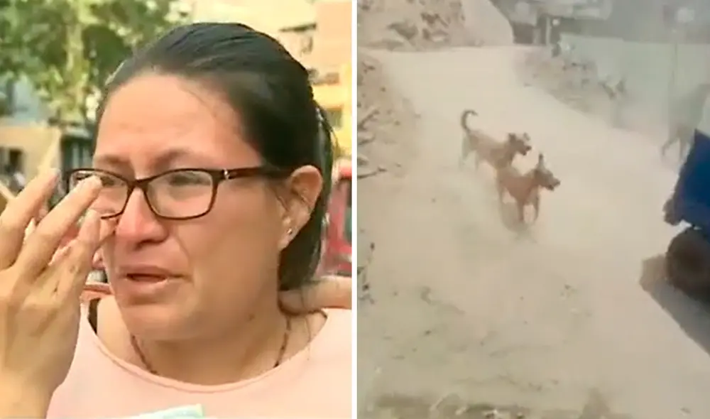 Los vecinos llamaron a la PNP para detener al propietario de los canes. Foto: composición LR/América TV